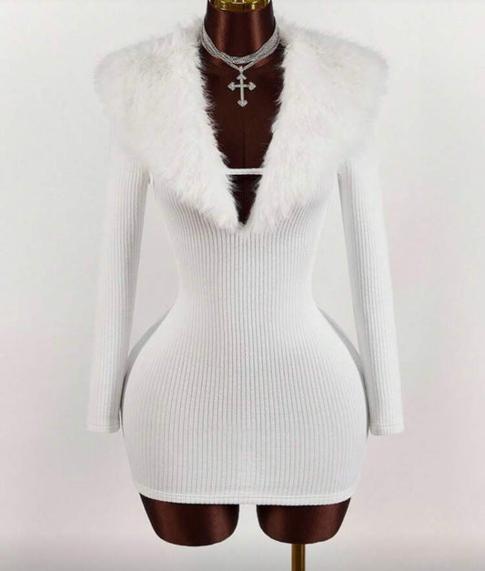 Faux Fur Collar Dress